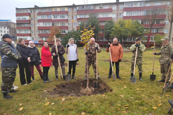 0-02-05-a05d7f5c0ca5399998060c4d046076bdc77a821aaf5fe401c42c362a60411ea7_410be2caeeb6b359